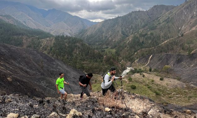 Por fuegos forestales, piden intervenir zona boscosa próximo a Presa de Palomino en San Juan