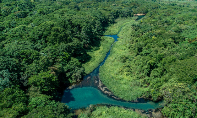 Humedales dominicanos. Por qué son tan importantes?