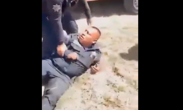 VIDEO: Detienen a un policía mexicano por tener sexo en público