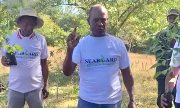 Seaboard realiza jornada de reforestación en humedales del Río Ozama
