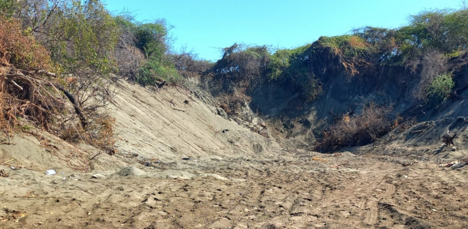 Talas de arboles y quema indiscriminada, amenazan la existencia de las Dunas de Baní.