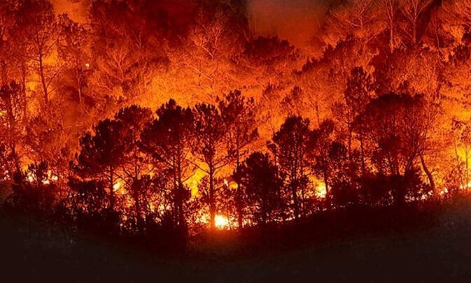 Los incendios forestales están empeorando, los últimos datos lo confirman
