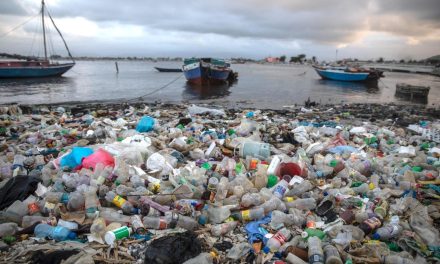 Haití.: El Consejo Presidencial anuncia un operativo de saneamiento en Puerto Príncipe