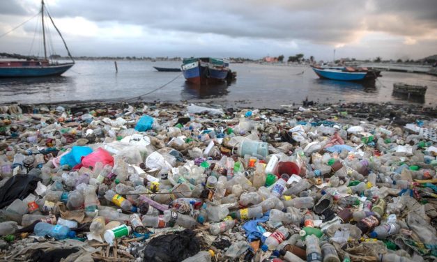 Haití.: El Consejo Presidencial anuncia un operativo de saneamiento en Puerto Príncipe