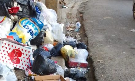Denuncian basura arropa comunidad de Bayona.