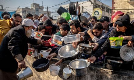 Los alimentos destinados a Gaza se pudren mientras el cruce egipcio de Rafah permanece cerrado