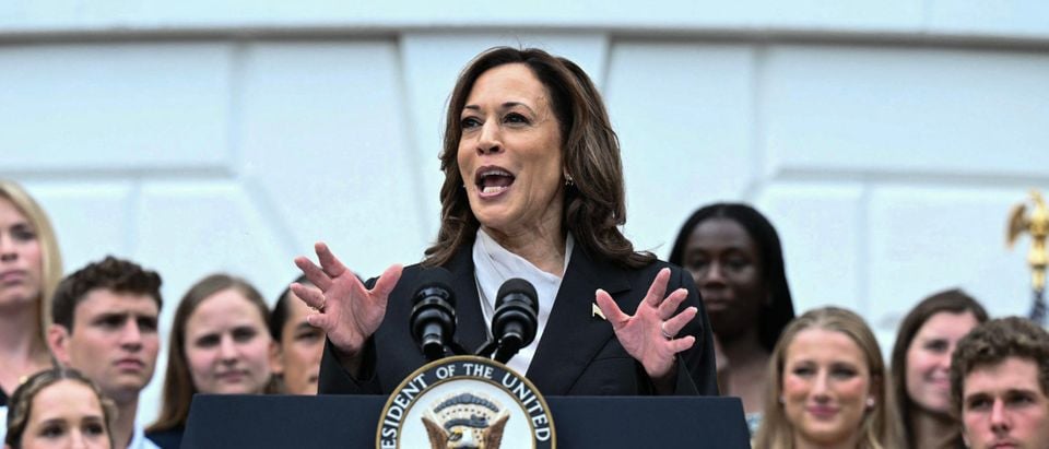 Un anuncio de Trump califica a la vicepresidenta Harris de «extremista pro criminal»