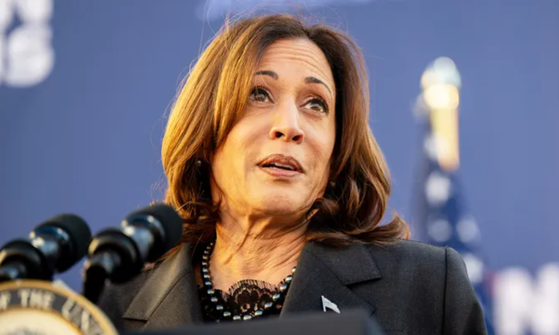 EE.UU.: Los aliados de Trump intensifican los ataques contra Harris mientras se habla de un reemplazo de Biden