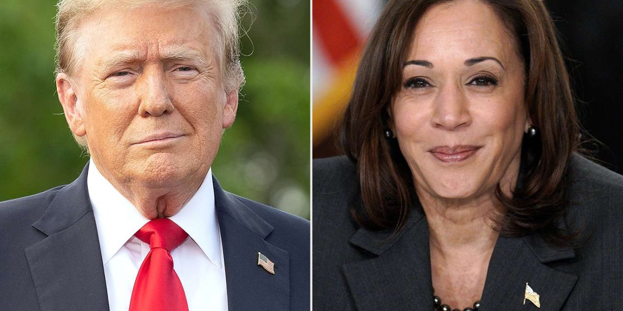 EE.UU.: Trump tiene una ventaja de 6 puntos sobre Harris, según diario The Hill