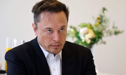 Elon Musk: «El colapso de la población se está acelerando»