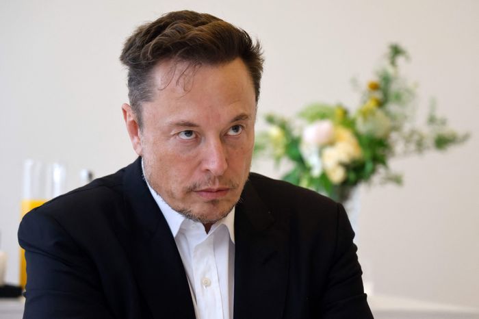 Elon Musk: «El colapso de la población se está acelerando»