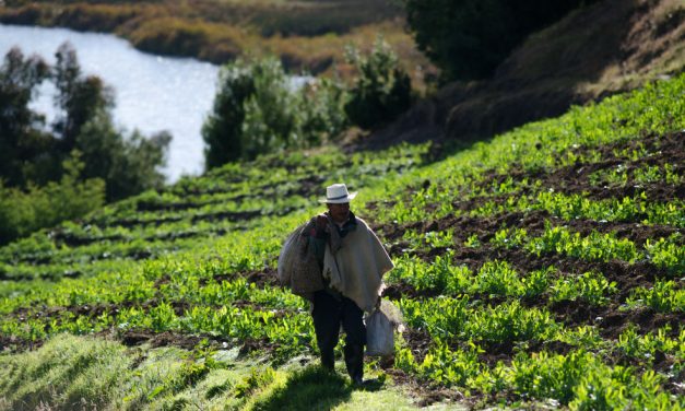 Colombia: Proyecto de Ley de Jurisdicción Agraria, despierta el fantasma de las expropiaciones de tierra