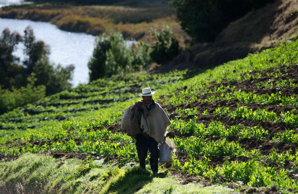 Colombia: Proyecto de Ley de Jurisdicción Agraria, despierta el fantasma de las expropiaciones de tierra