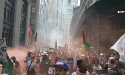 Banderas de Hamás y Hezbolá en manifestación pro palestina en Nueva York