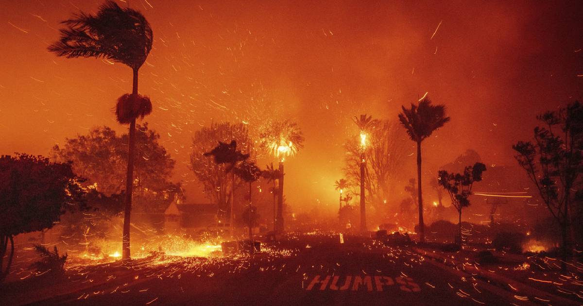 Los Ángeles, EE.UU: más de 100 camiones quedaron sin reparar durante los incendios