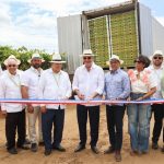 La República Dominicana hace historia con el despacho de primer contenedor de uvas de mesa hacia EE. UU.