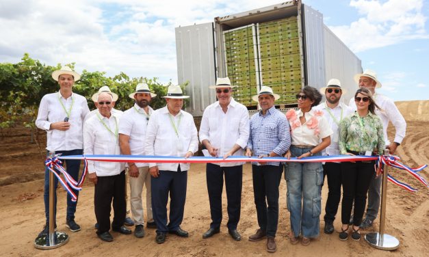 La República Dominicana hace historia con el despacho de primer contenedor de uvas de mesa hacia EE. UU.