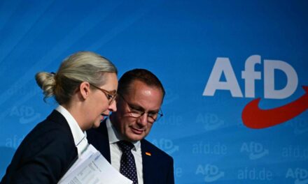 Alemania suspende la clasificación del AfD como «extremista»