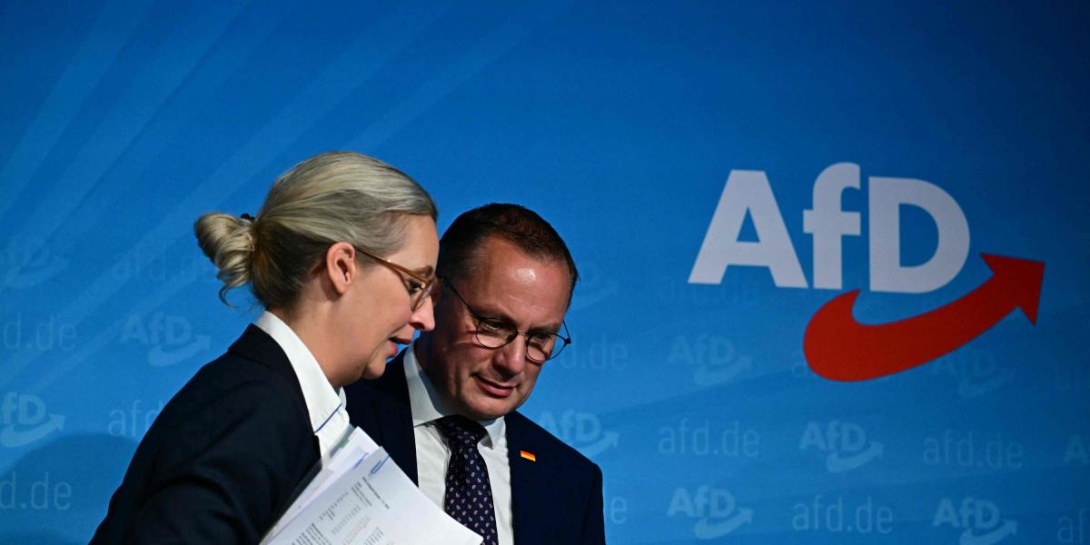 Alemania suspende la clasificación del AfD como «extremista»