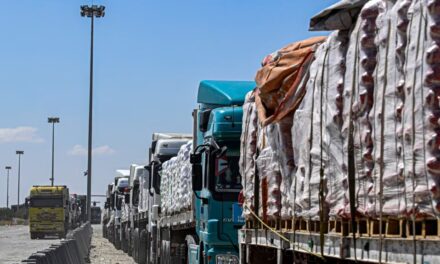 La ONU autoriza la entrada de 100 camiones de ayuda más a Gaza