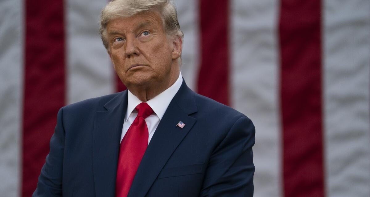 Trump: «No está interesado» en mejorar su relación con Musk
