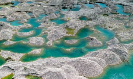 Alerta en el paraíso: Un llamado a la acción en el balneario de Nizao