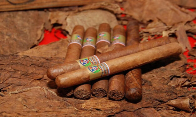 El tabaco dominicano supera los USD 1,340 millones en exportaciones y genera 122,000 empleos