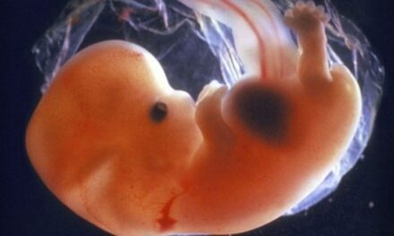 Un bebé nacido de un embrión congelado de 30 años conmociona al mundo