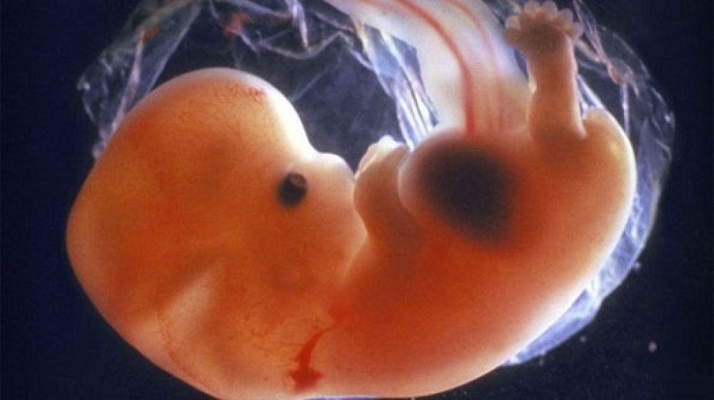 Un bebé nacido de un embrión congelado de 30 años conmociona al mundo