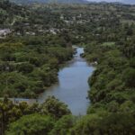 El medio ambiente no está en venta: la comercialización de la naturaleza en San Juan y la República Dominicana.