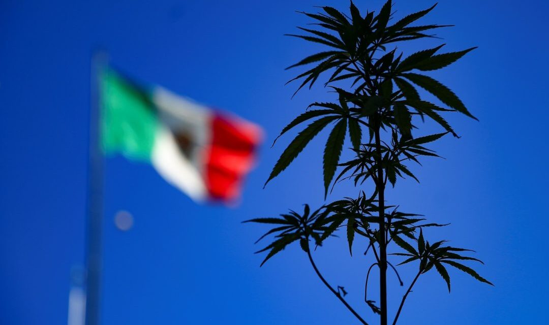 EE.UU. revoca visas a más de 50 políticos mexicanos en nuevo frente de guerra contra las drogas