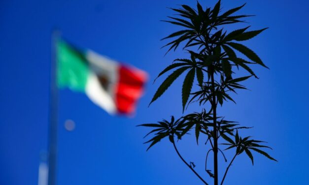 EE.UU. revoca visas a más de 50 políticos mexicanos en nuevo frente de guerra contra las drogas