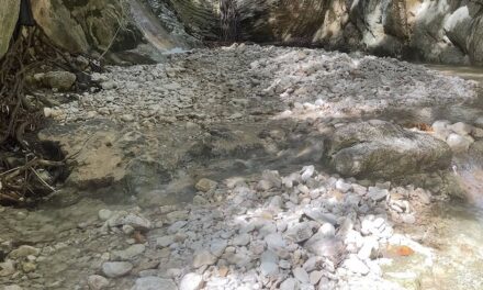 Salto de Babor: Paraíso en peligro por la deforestación.