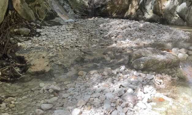 Salto de Babor: Paraíso en peligro por la deforestación.