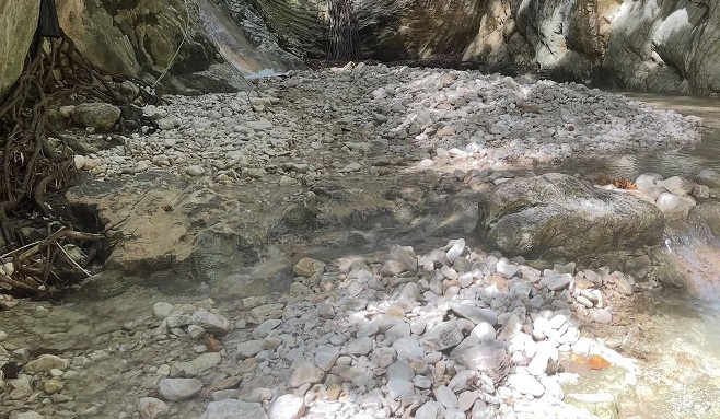 Salto de Babor: Paraíso en peligro por la deforestación.