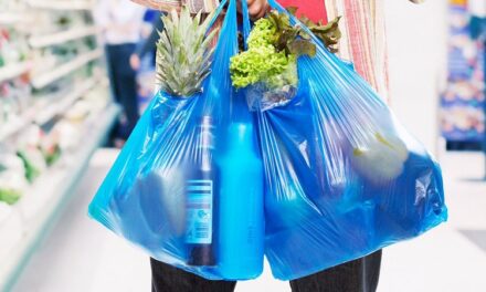 Comercios debieron reducir fundas plásticas y lanzar campañas ante prohibición entrega gratuita del 2 de Octubre.