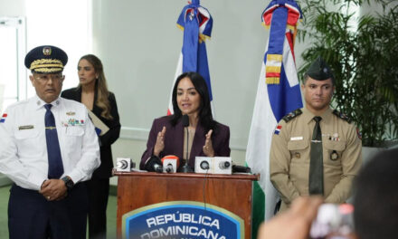 Fuerza de Tarea sesiona por primera vez en Santiago y consolida avances en seguridad ciudadana