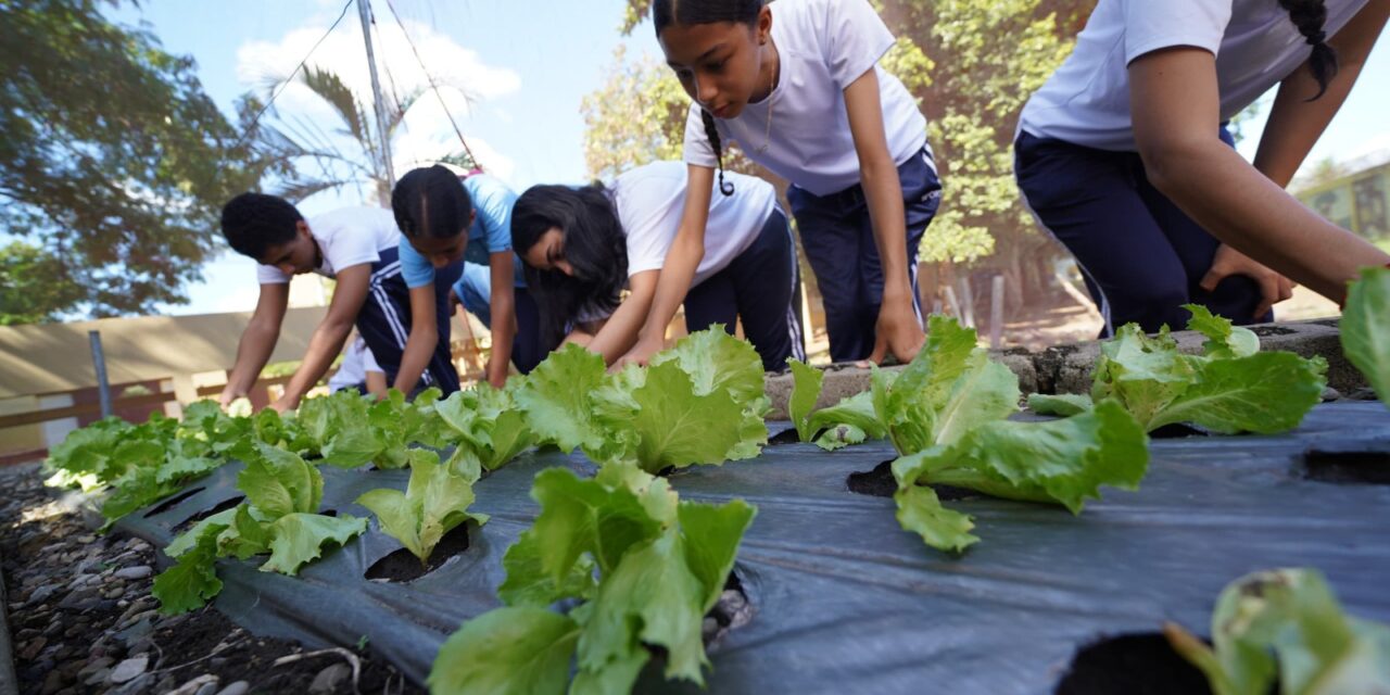 Huertos escolares del INABIE promueven conciencia ambiental y alimentaria en estudiantes
