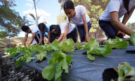 Huertos escolares del INABIE promueven conciencia ambiental y alimentaria en estudiantes