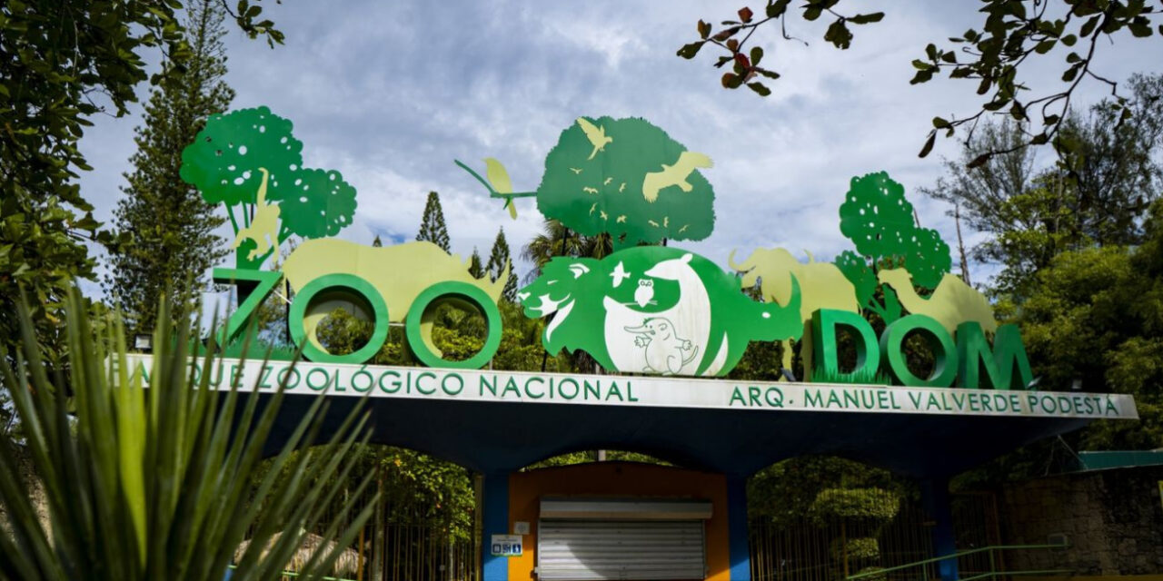 Ministerio de Medio Ambiente autoriza ingreso de especies exóticas al Zoológico Nacional