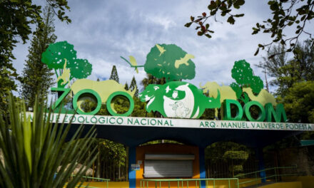Ministerio de Medio Ambiente autoriza ingreso de especies exóticas al Zoológico Nacional