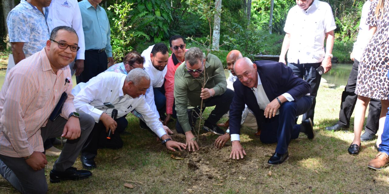 FEDA presenta resultados del programa nacional “Salvando las Montañas”, en el Día Internacional de las Montañas, con donación de casi 5 millones de plantas