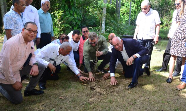 FEDA presenta resultados del programa nacional “Salvando las Montañas”, en el Día Internacional de las Montañas, con donación de casi 5 millones de plantas