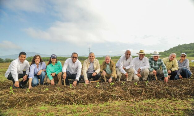 INTABACO y la Universidad ISA inician formación en cultivo de tabaco