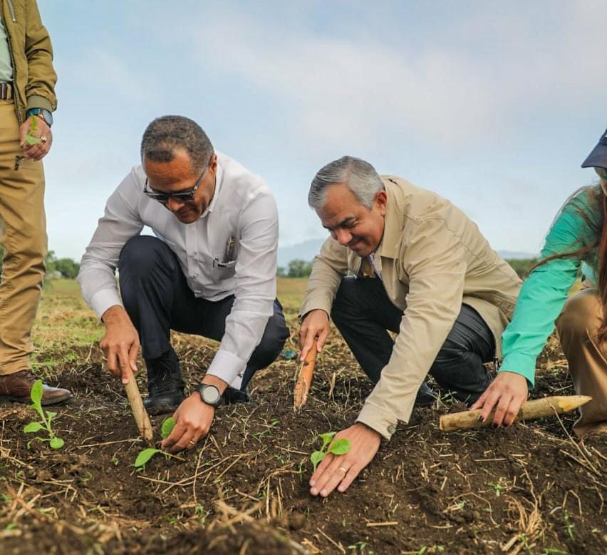 Formación académica y práctica en cultivo de tabaco