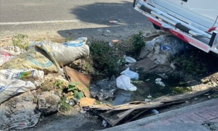 Junta de Vecinos denuncian problematica de registros de aguas negras.