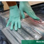 DNCD ocupa 13 paquetes de presunta cocaína en Punta Cana y refuerza operativos en corredores turísticos