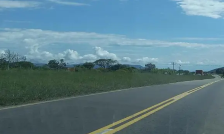 Colombia: Interceptan un Autobus bomba con 420 kilos de explosivos cerca de Cali; sería para ataque durante posesión de Abelardo de la Espriella