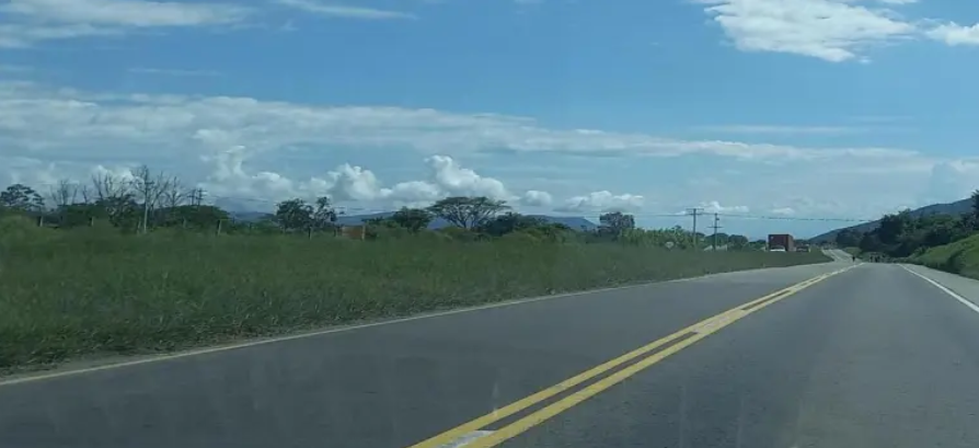 Colombia: Interceptan un Autobus bomba con 420 kilos de explosivos cerca de Cali; sería para ataque durante posesión de Abelardo de la Espriella